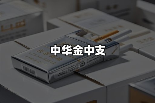 中华金中支